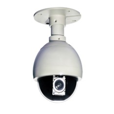 PTZ Camera