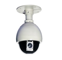 PTZ Camera